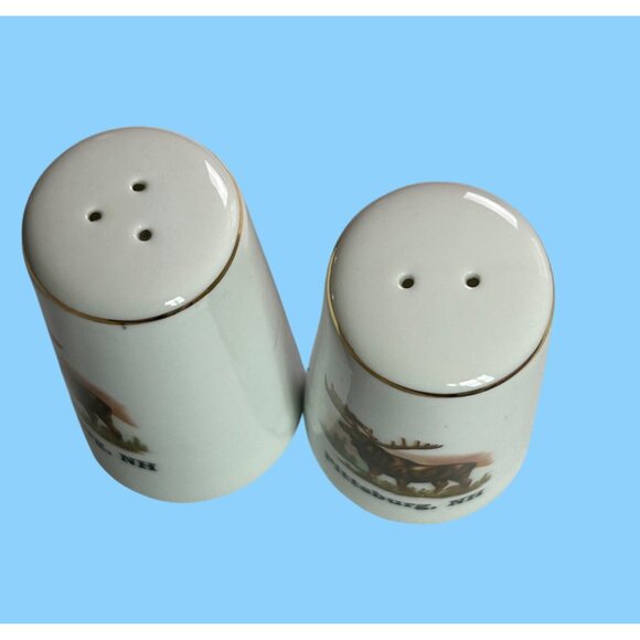 Vintage Pittsburg NH Moose Salt & Pepper Shakers - Picture 4 of 5